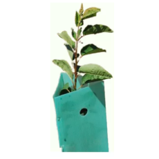 PROTECTOR-DE-ARBOL